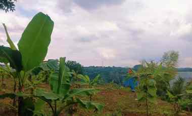Tanah Cocok untuk Kost2an di dekat Kampus Unnes Gunungpati Semarang