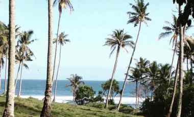 Dijual Tanah Lokasi Antap Kec. Selemadeg Kabupaten Tabanan Bali