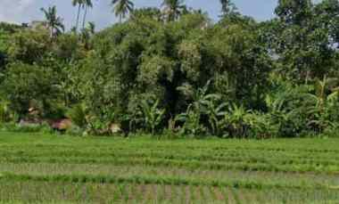 Zona Pariwisata dekat Pantai Mejan dan Balian Selemadeg Barat Tabanan Ba