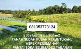 dijual tanah selemadeg tabanan bali