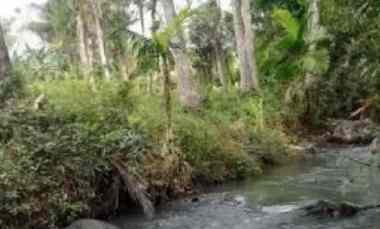 Tanah Dijual di Selemadeg, Tabanan, Bali