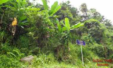 Dijual Tanah Seluas 46.301 m2 Cocok untuk Perkebunan - Lampung