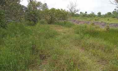 Lahan 50 Ha. Lokasi di Sematang Borang. Lumban Meranti. Banyuasin