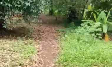 Dijual Tanah Serang Banten