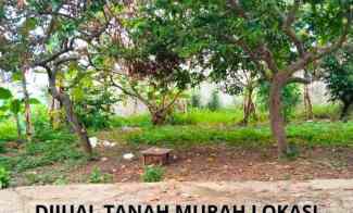 dijual tanah shm lokasi jalan maskarebet km 10