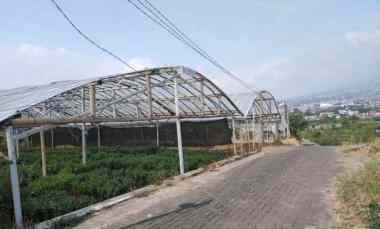 Jual Cepat Tanah untuk Kebun Kondisi Subur di Dataran Tinggi Kota Batu