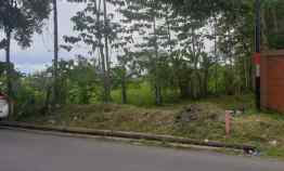 12959 m2 Tanah Kebun Pinggir Jalan Raya dekat Stadion Jalak Harupat