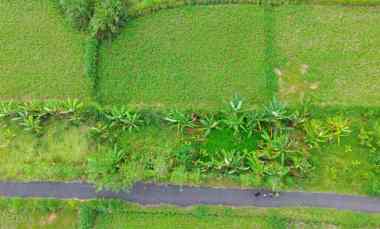 Dijual Tanah Strategis 3,46 are - Tedung, Gianyar