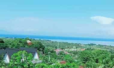 Dijual Tanah Strategis di Sentral Lovina