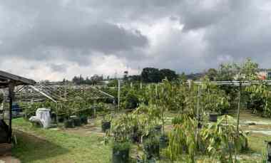dijual tanah strategis kebun jl mekarwangi sariwangi