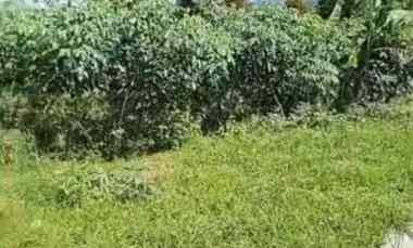 Tanah Dijual di Cisantana Cigugur kuningan