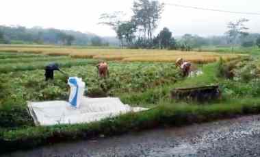 Tanah Dijual di Sindangkasih beber cirebon