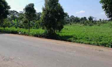 Tanah Dijual di Pakembangan kab. kuningan