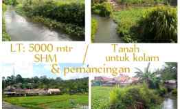 dijual tanah subang