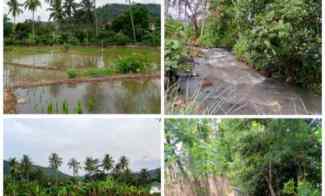 dijual tanah subang