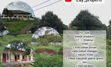 dijual tanah subang