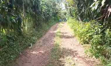 dijual tanah subang