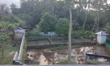 dijual tanah sudah ada kolam dan ada kebun nya