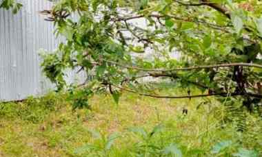 Tanah Dijual di Sukabumi, Bandar Lampung