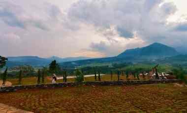 dijual tanah sukamakmur