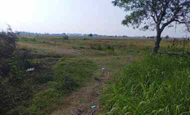 Tanah Dijual di Sukaringin