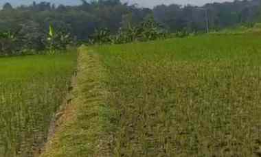 dijual tanah sumber kembar pacet mojokerto