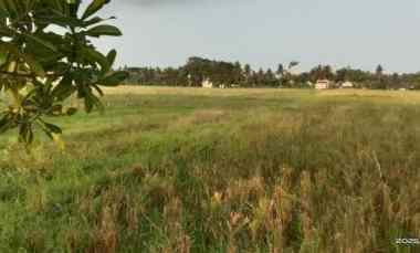 Dijual Tanah Sawah di Moyudan Sleman Mangku Jalan Aspal