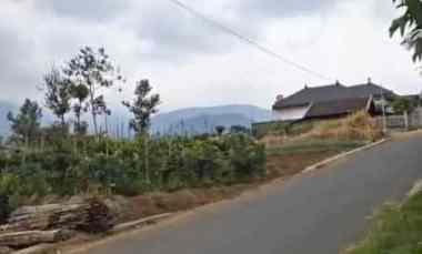 dijual tanah sumberejo