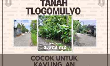 dijual tanah taman tlogomulyo