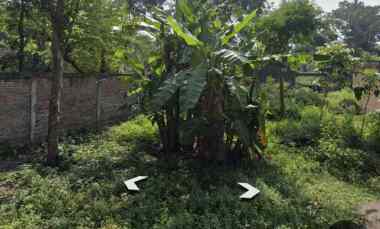 Hunian Impian Dimulai di Sini Kavling Siap Bangun Tambakan