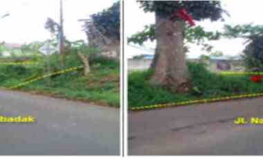 Dijual Tanah Kosong 14 Hektar di Sukabumi Cocok untuk Perumahan