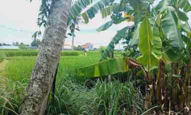 dijual tanah tanah lot