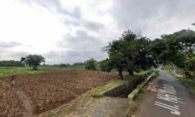 dijual tanah tanah sereal kota bogor