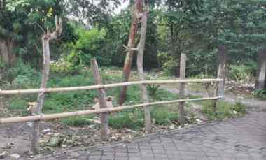 Dijual 1,182 Ha. jl. Taman Sari Tanjung Benoa Kuta Selatan