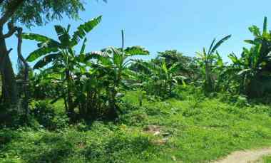 dijual tanah tanjung benoa badung bali