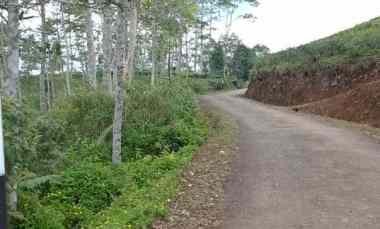 Tanah Dijual di Taraju Kabupaten Tasikmalaya