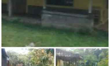 Pekarangan 3438m2 Bonus Rumah Kampung Karanganyar 500jt