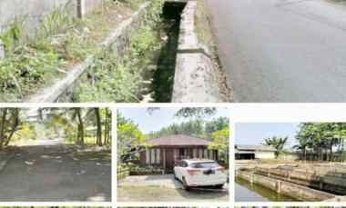 Jual Tanah 54.000 m2 di Ciampea Bogor View Gunung Salak