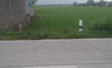 Dijual Tanah Sawah Jalan Satya Darma Tegalsari Cuplik Sukoharjo