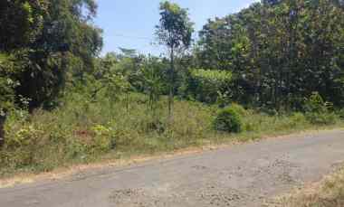 Dijual Tanah Kebun Pinggir jl Akses Mobil Cocok Buat Peternakan Kebun