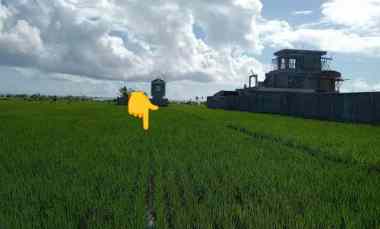 Dijual Tanah dekat Pantai Pasut Berlokasi di Tibubiyu Kerambitan Tbn