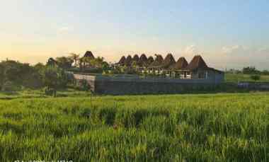 Tanah Dijual di Tibubiyu, Tabanan, Bali