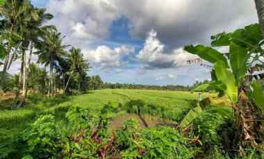 dijual tanah timpag kerambitan kab