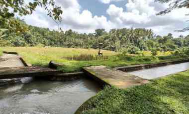 Tanah Dijual di Timpag, Tabanan, Bali