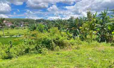 Tanah Datar 3169m2 300Jt Timur Kantor Kecamatan Kerjo Karanganyar