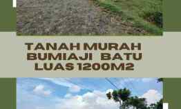 dijual tanah tlogorejo