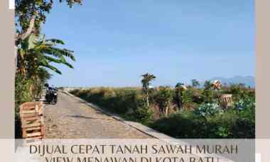 dijual tanah torongrejo