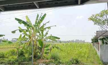 Tanah Dijual di Triharjo Sleman
