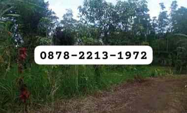 dijual tanah tugulaksana punclut