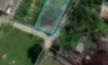 Dijual Tanah 310 m2 di Tumbak Bayuh dekat Pererenan Mengwi Badung Bali